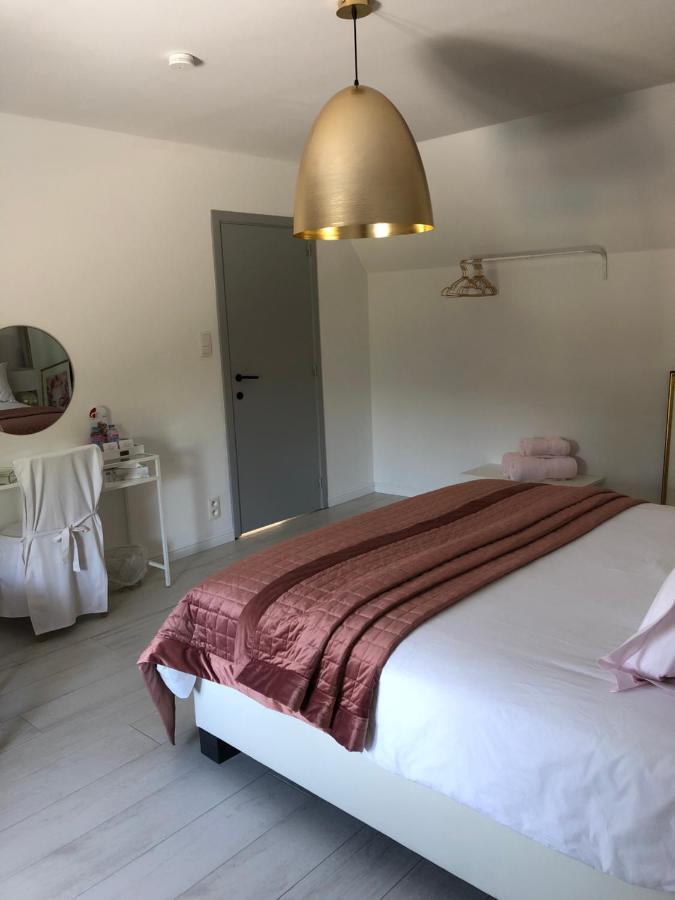 Froyennes Jardin Du Marais Bed & Breakfast エクステリア 写真