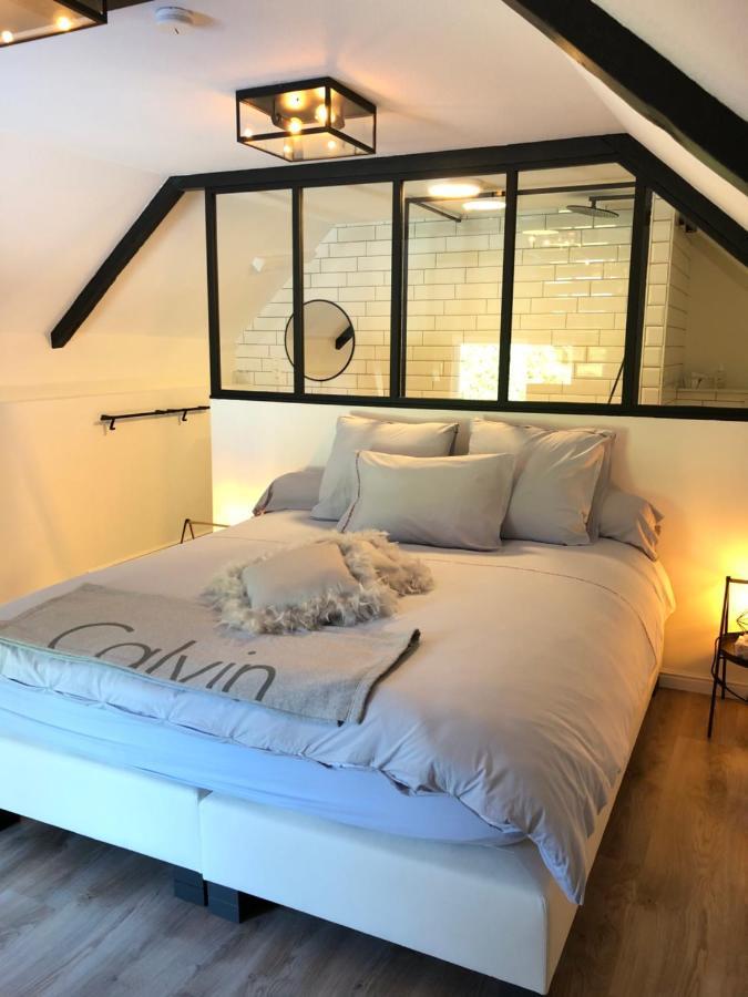 Froyennes Jardin Du Marais Bed & Breakfast エクステリア 写真