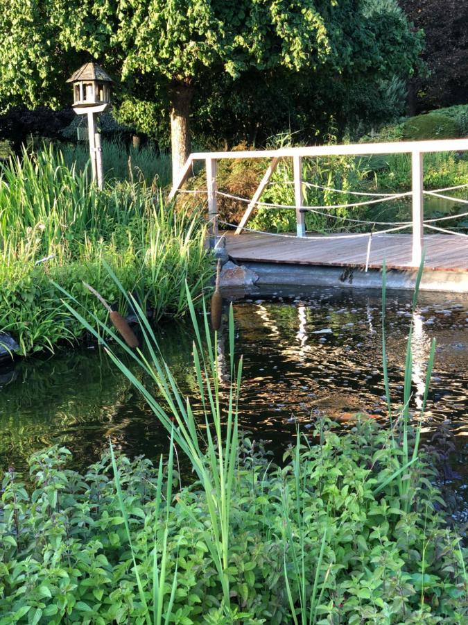 Froyennes Jardin Du Marais Bed & Breakfast エクステリア 写真